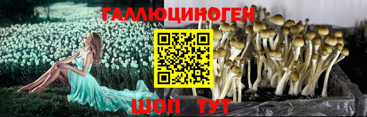 Псилоцибиновые грибы Psilocybe  Галлюциногенные грибы ЛСД  Донской  Вход с VPN 